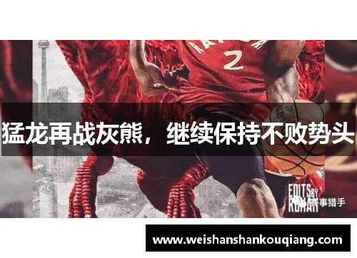 猛龙再战灰熊，继续保持不败势头