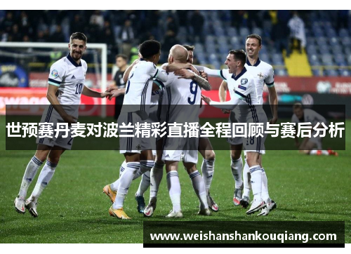 世预赛丹麦对波兰精彩直播全程回顾与赛后分析